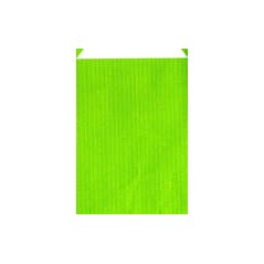 250 Sacs Cadeaux VERT CLAIRE 3335B1117