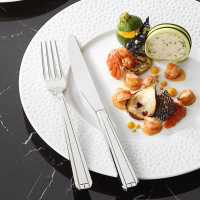 Couteau de table monobloc lame scie - NORMANDY - 240 mm - Degrenne - Vue sur assiette blanche