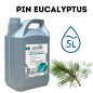 JEDOR 3D - Pin Eucalyptus - [5L] - Détergent Désinfectant Multi Action