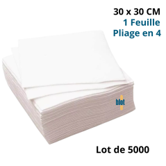 Serviettes Blanches 1 Pli 30x30 cm - Carton de 5000 - Vue principale