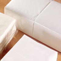 Serviettes Blanches 1 Pli 30x30 cm - Carton de 5000 - Vue en paquet