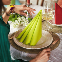 Serviette compostable domicile Duni, respectueuse de l’environnement