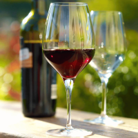 Verres Stölzle Exquisit - Brillance et équilibre parfait pour la dégustation