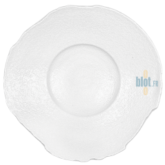 Assiette blanche organique vide sur fond blanc, forme irrégulière et texture mate