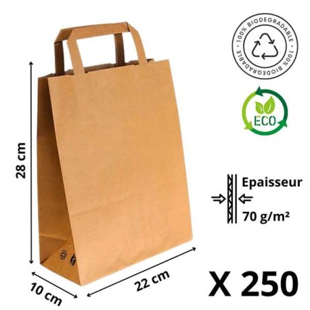 Sac Cabas Kraft Brun avec Poignées Plates - 22+10x28 cm - Lot de 250