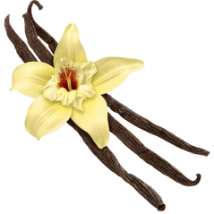 Secret de Flambage BIO Cookal VANILLE - 200 ML - Zoom sur la Vanille