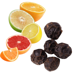 Aromatique de Cuisson BIO - Agrumes et Poivre - 500 ML - Zoom sur les Agrumes et le Poivre