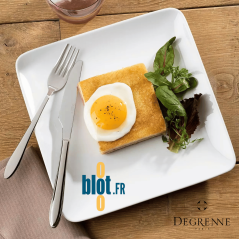 Couteau de table Degrenne Norway inox avec fourchette sur assiette repas