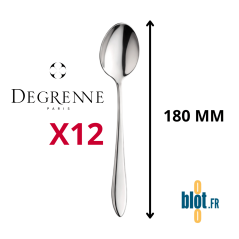 Cuillère à dessert Degrenne Norway inox poli miroir 180 mm