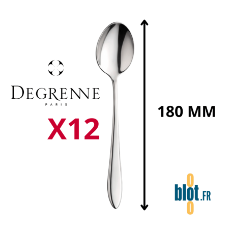 Cuillère à dessert Degrenne Norway inox poli miroir 180 mm
