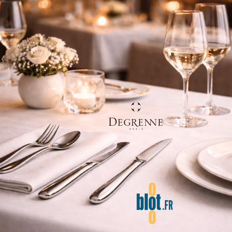 Couteau à dessert Degrenne Norway inox - Lame Microdentée - (203 MM)