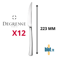 Couteau steak Degrenne Amazone inox microdenté 223 mm vue de profil