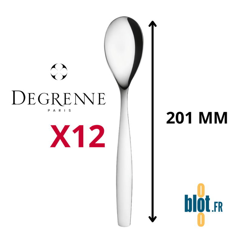 Cuillère de table Degrenne Amazone inox - (201 MM)