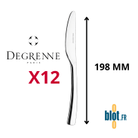 Couteau à dessert monobloc Degrenne Amazone inox 198 mm
