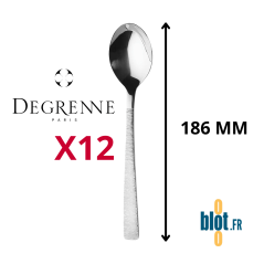 Cuillère à dessert Astrée Ciselé Degrenne inox 18/10 vue produit