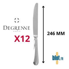 Couteau de table monobloc Degrenne Blois miroir 246 mm inox 18/10