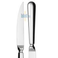 Couteau à steak inox Degrenne Blois Miroir manche orfèvre
