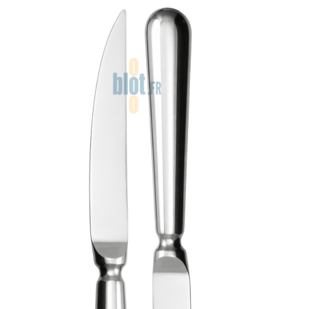 Couteau à steak manche orphèvre - Lame scie - Degrenne Blois - Inox Miroir - (238MM)