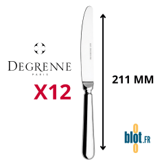 Lot de 12 couteaux à dessert inox Degrenne Blois Miroir 211 mm