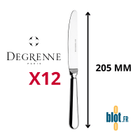 Lot de 12 couteaux à dessert Degrenne Blois Miroir 205 mm