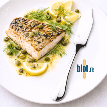 Couteau à poisson - Degrenne Blois - Inox Miroir - (198MM)