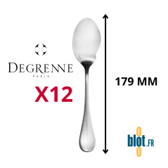 Lot de 12 cuillères à sauce inox Degrenne Blois Miroir 179 mm