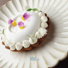 Détail d’assiette plate Calix beige avec dessert et émail réactif