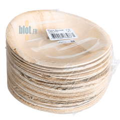 Assiette jetable en palmier compostable résistante aux plats chauds et froids