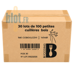 Carton de transport contenant 3000 petites cuillères en bois jetables