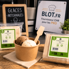 Mini cuillère à glace en bois utilisée pour la dégustation de glaces artisanales et desserts glacés