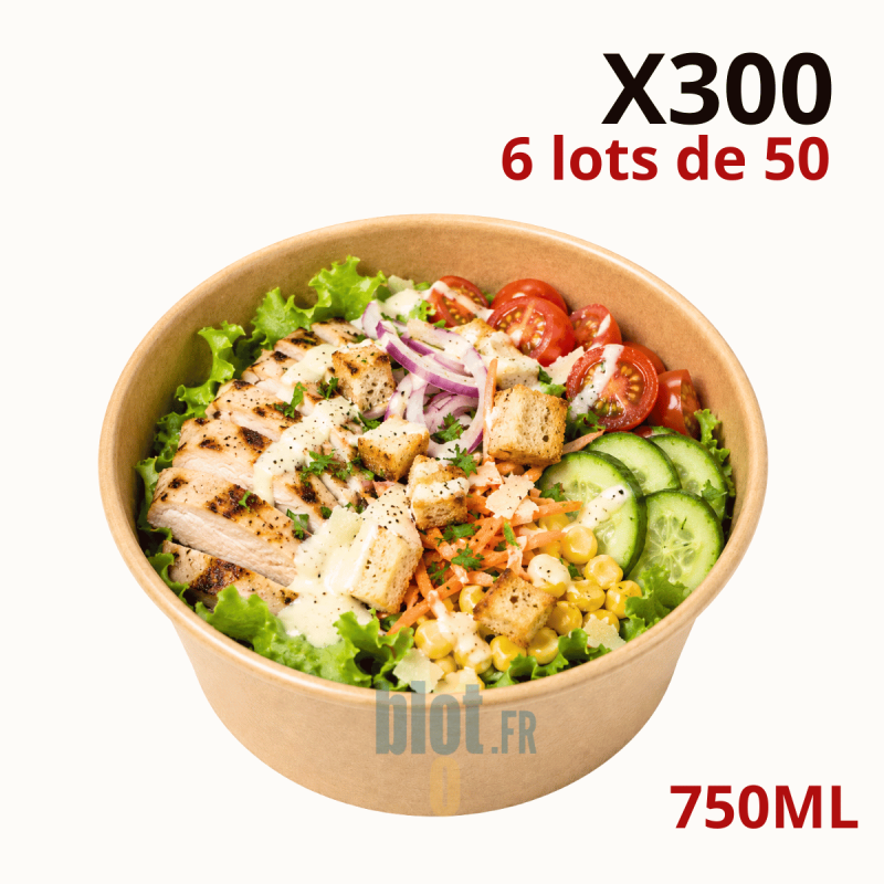 (X300) - Pots à salade kraft  750 ML - (Ø 14,8 CM | H 6,2 CM)