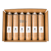 Carton de 300 saladiers kraft 1000 ml composé de 6 sachets de 50 unités pour usage professionnel.