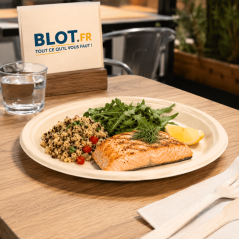 Assiette en bagasse naturelle 26 cm avec saumon quinoa et salade