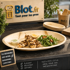 Plat ovale en feuille de palmier avec brochettes de poulet salade et sauce