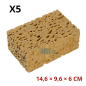Lot de 5 éponges cellulosiques humides Spontex Azella 75, format 146 × 96 × 60 mm