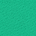 (X10) - Toile-éponge Verte Spongyl - 51