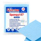 Sachet de 10 toiles-éponges Spongyl 87 bleues Spontex Professional