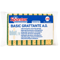 Sachet de 10 éponges grattantes Sponrex Basic PM pour le nettoyage professionnel