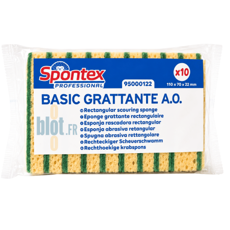 (X10) - Éponge grattante professionnelle Sponrex Basic PM