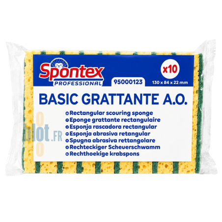 (X10) - Éponge grattante professionnelle Basic GM