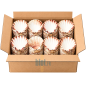 (LOT DE 160) - Coquilles Saint-Jacques vides - (13,5 CM)