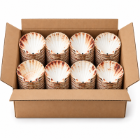 Carton ouvert de 200 coquilles Saint-Jacques naturelles vides, rangées en piles