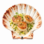 Exemple de présentation dans une coquille naturelle avec trois noix de Saint-Jacques dorées et une garniture aux herbes