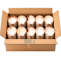 Carton ouvert de 250 coquilles Saint-Jacques naturelles vides de 12,5 cm, rangées en piles