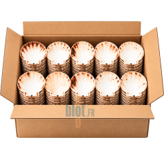 (LOT DE 250) - Coquille Saint-Jacques Naturelle - (12,5 CM)