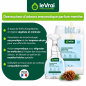 Clean Odor Menthe 5 L – Destructeur d’odeur enzymatique