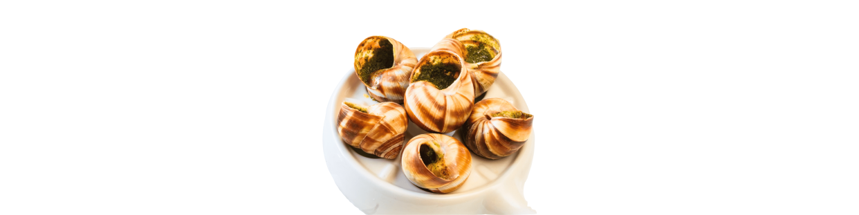 Escargot
